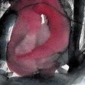 ohne titel, 2024, mischtechnik auf papier, 42,4x61 cm, copyright vg bildkunst + axel h�ptner